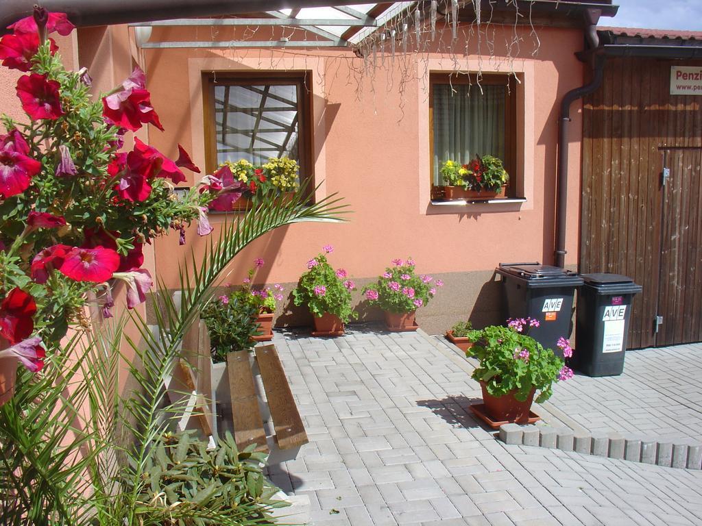 Wellness Penzion Palice جينديتشوف هراديك المظهر الخارجي الصورة